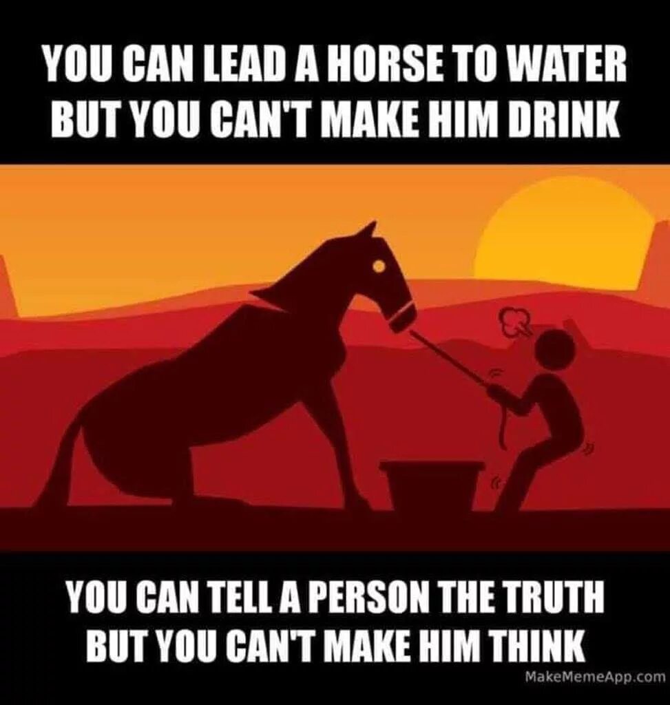 You can take a Horse to the Water but you can’t make him Drink. На русском. You can bring your Horse to the Water but you cannot make him Drink. You can take a Horse to Water but you cannot make him Drink перевод. You can lead a Horse to Water but you can't make it Drink, применению. Make him drink