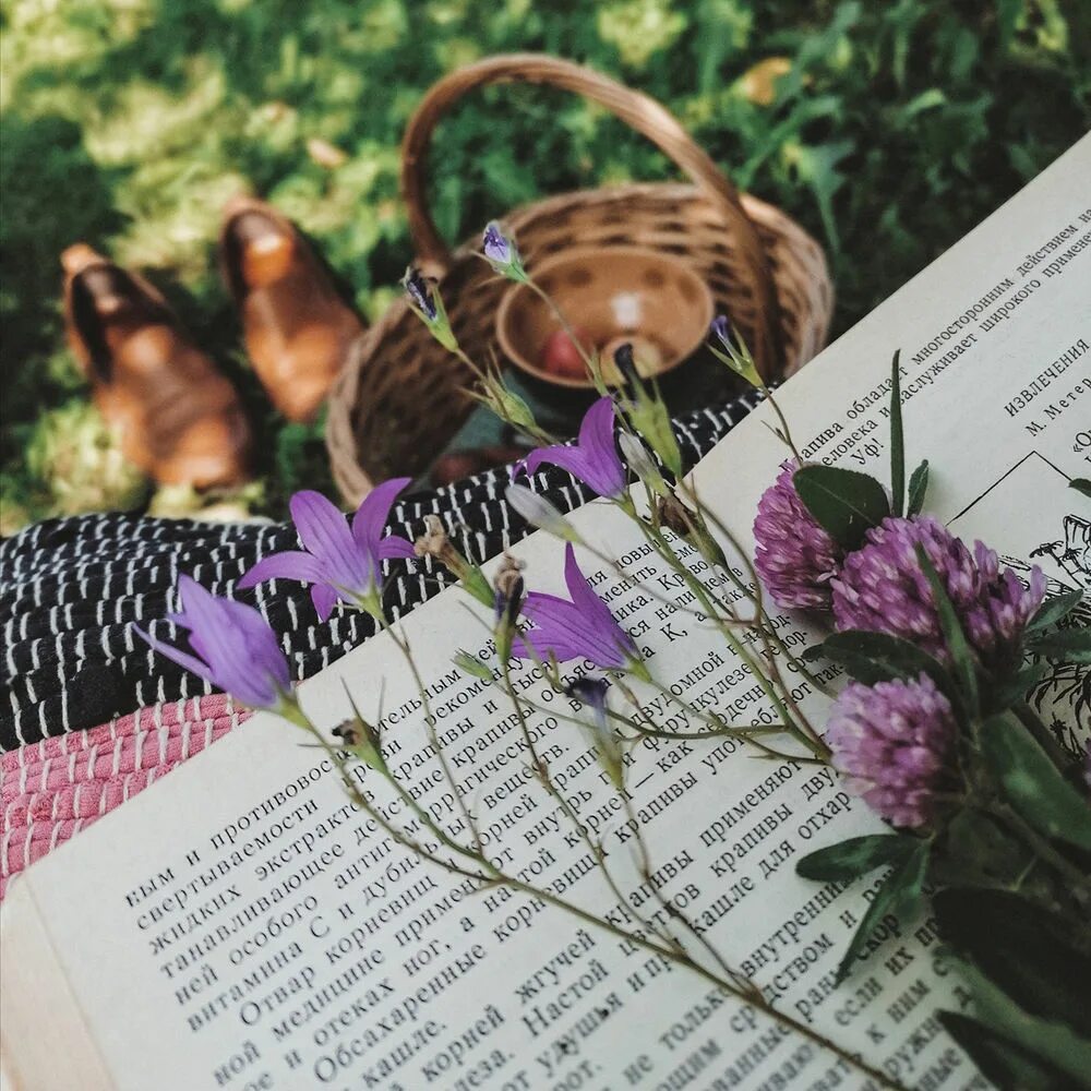 Подборка книг для лета. Книга с гирляндой. летние атмосферные книги. гирлянда из книг и картинок. весь год в цветах книга.