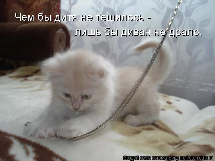 Как бы дитя не тешилось. Чем бы дитя не тешилось лишь бы. картинки чем бы дитя не тешилось. чем бы не тешилось. чем дитя не тешилось.