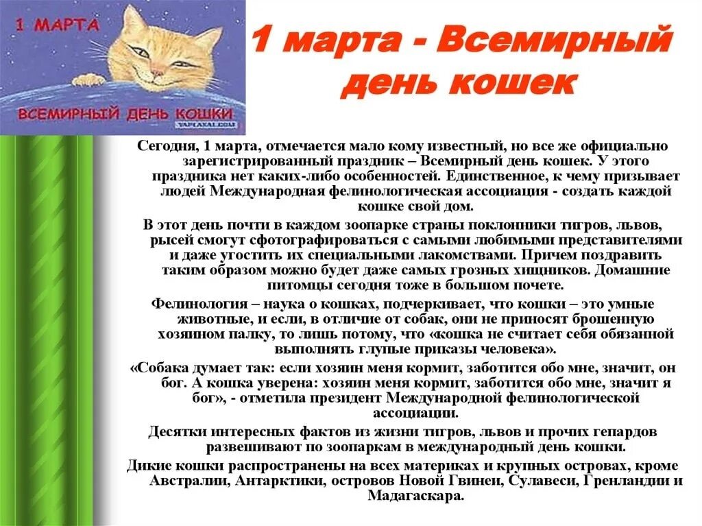 День котов стихи. Всемирный день кошек. 1 Мартабень кошек в России. Когда отмечают день кошек.