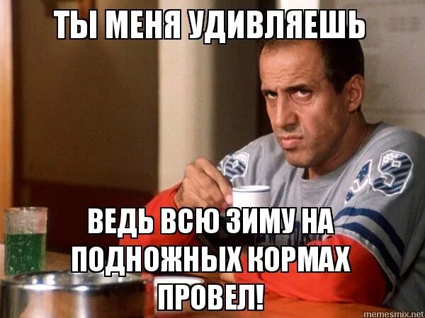 Песня вижу твое платье я ведь озадачен. Минута вечера тима белорусских. Челентано с кофе фото. Gabriela lindlova. Песня вижу твое платье я ведь озадачен.