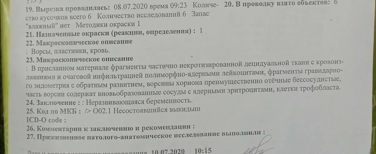 Анамнез выкидышу. Гистологическое заключение после замершей беременности. Гистологическое исследование после замершей беременности. Заключение гистология замершей беременности. Заключение гистологии при замершей беременности.