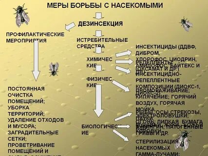 Какие способы борьбы с насекомыми