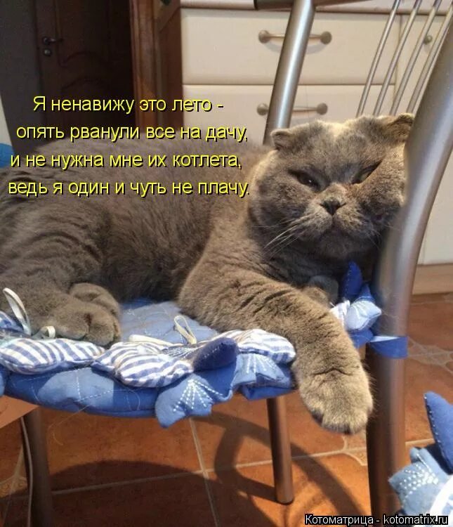 Смешные надписи. Можно с вами познакомиться нет почему. Совсем не скучно. Если друг оказался вдруг. Поговори со мной мем.