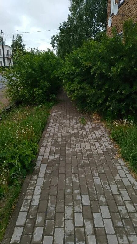 Подслушано вельск дворик. Подслушано вельск дворик. Подслушано велс в контакте. Подслушано вельск в контакте дворик. Подслушано вельск вконтакте.