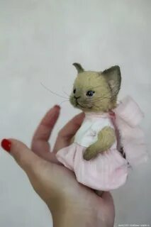 Включи полли котик