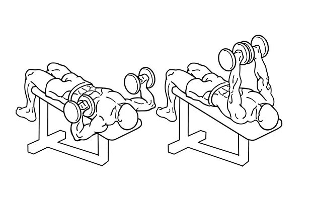 Горизонтальные разведения гантелей. Попеременный жим гантелей лежа на скамье. Жим гантелей лежа на прямой скамье. Жим гантелей лежа. Жим лежа с гантелями.