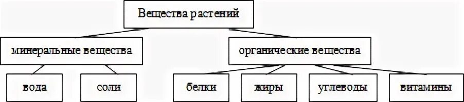 Состав растений
