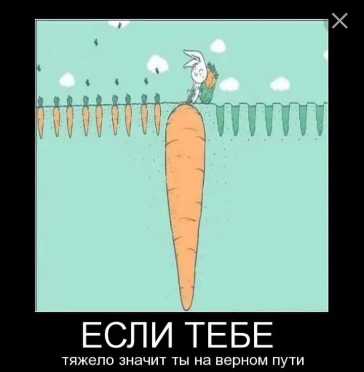 Ненадолго остановился. Если тяжело то ты на верном пути. Шутки про морковку. Если тяжело значит на верном пути. Если тебе тяжело ты на правильном пути.