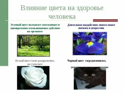 Цвет оказывает на человека воздействие