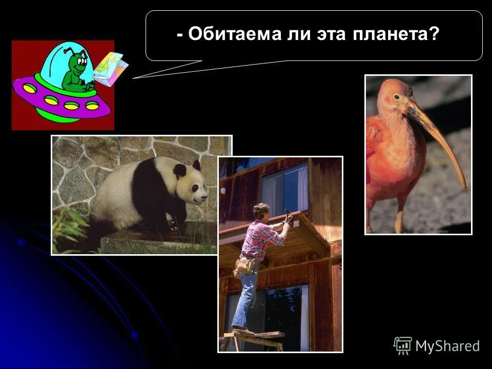 Стихотворение про носорога для детей. Какое животное жить не может без уроков. Какое животное жить не может без уроков. Какое животное может дольше всех обходиться без воздуха. Что такое фразеологизм в русском языке 4 класс.