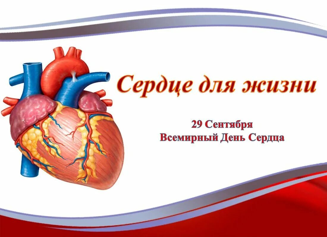 29 сентября 2025 года