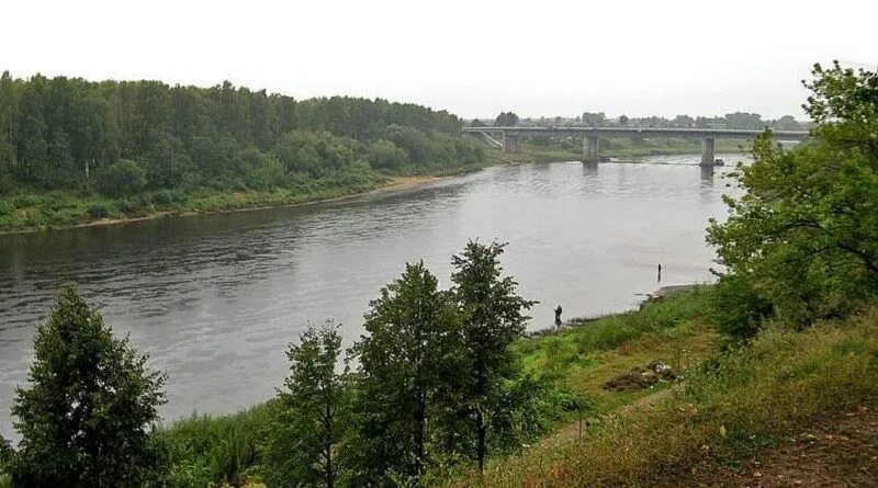 Утону я в западной двине. Велиж на реке Западная Двина. Западная Двина Смоленская область. Западная Двина Смоленск.