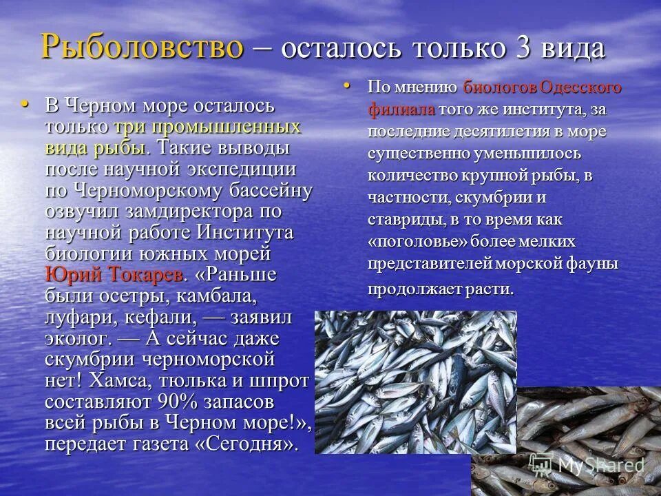 Ресурсы и их использование черного моря кратко. Ресурсы и их использование черного моря кратко. Ресурсы и их использование черного моря кратко. Значение азовского мор. Значение азовского мор.