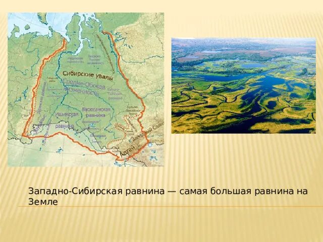 Состав западно сибирской равнины. Западно-Сибирская низменность на карте России. Западно-Сибирская равнина на карте. Северо Сибирская низменность на карте. Визитная карточка Западно сибирской равнины.