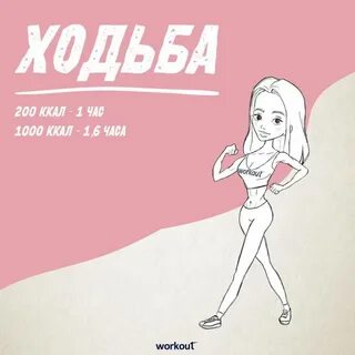 1000 калорий