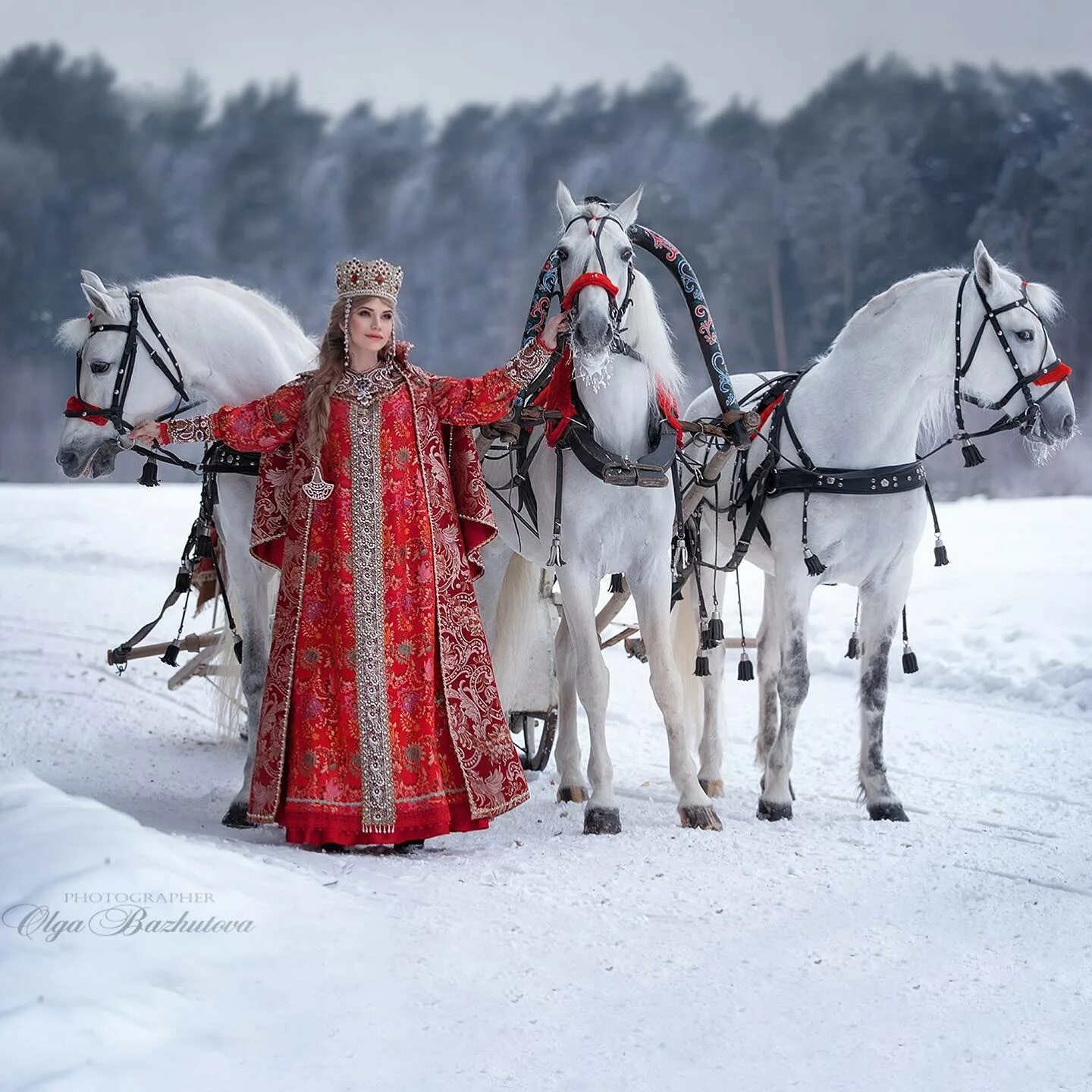 Тройки сильнейших. Olga bazhutova фотограф. Фотосессия с тройкой лошадей.