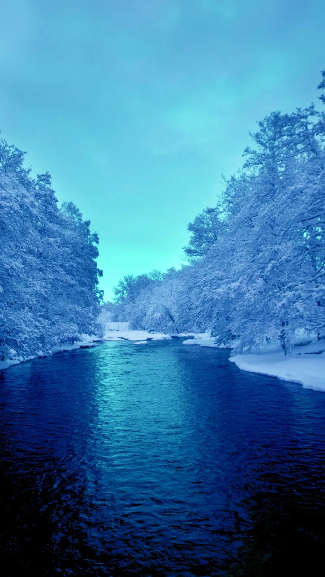 Коста рика голубая река. Waihou river new zealand. Река вайкато. Голубое озеро новая зеландия. Голубая природа.