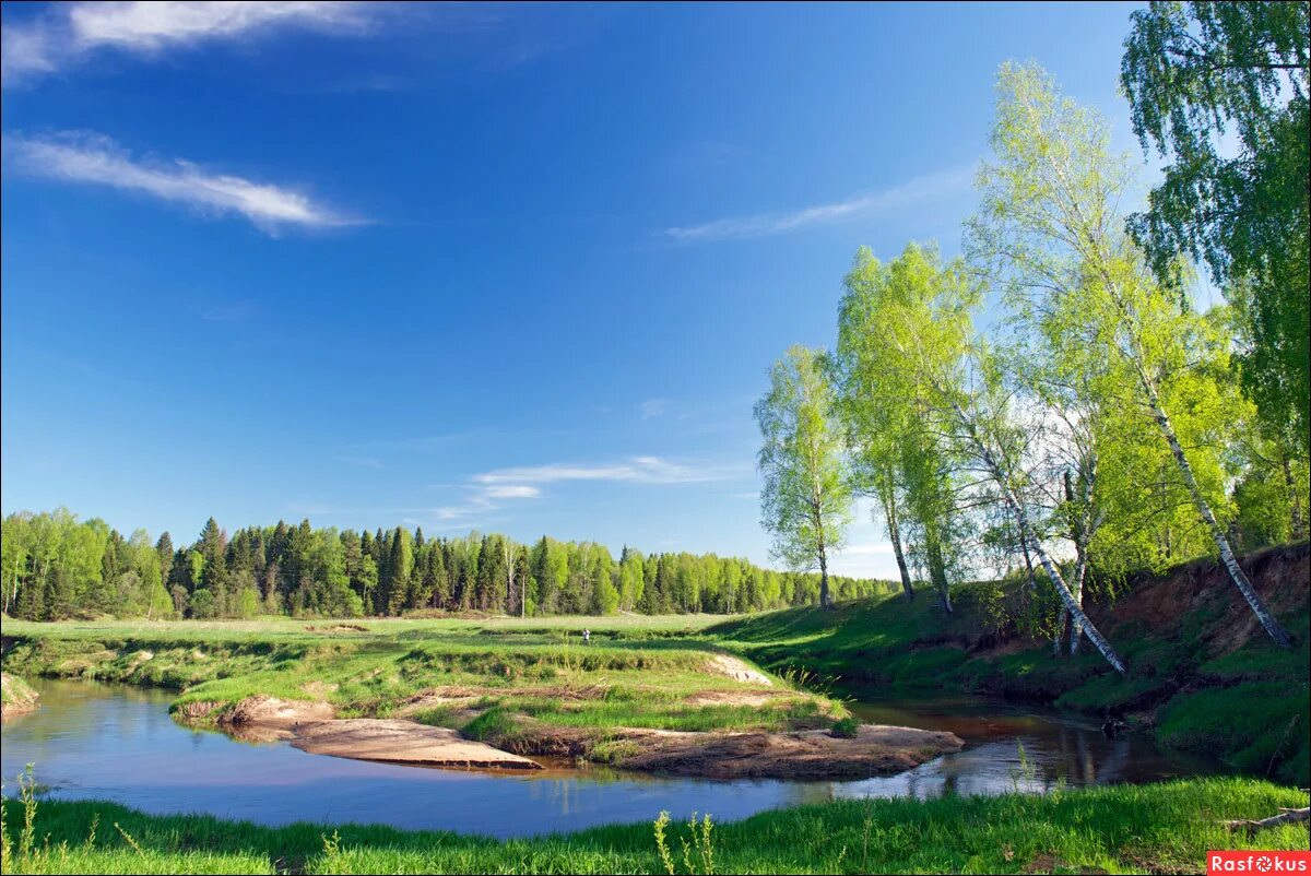 Река волга природа береза. Береза река коломенское. Осень. Озеро березка ивановская область. Брянск река березка.