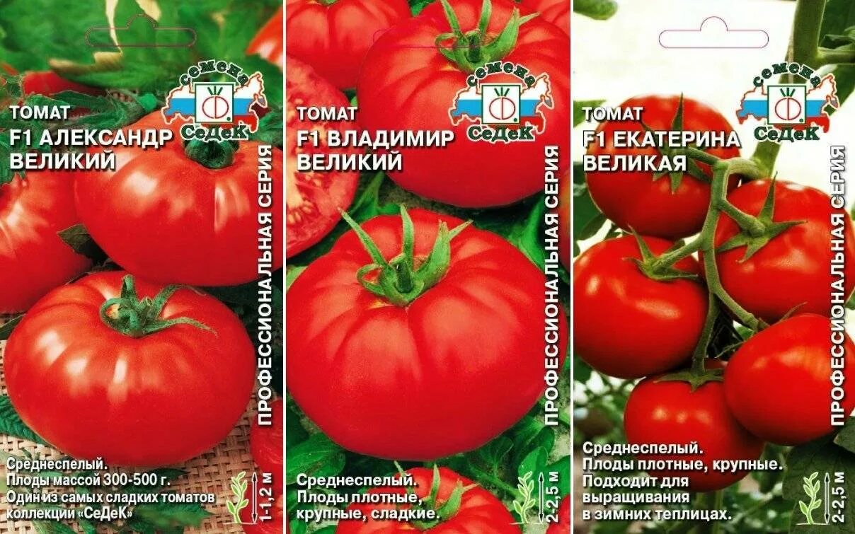 Томат киржач отзывы фото урожайность характеристика