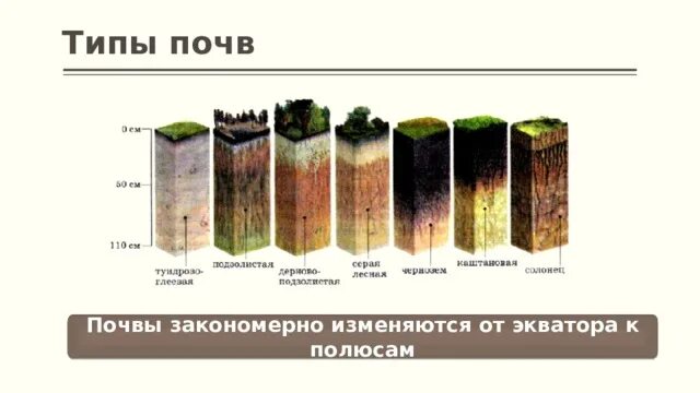 Плодородие почв при движении к полюсам. Типы почв. Разновидности грунта. Почва, плодородие, типы почвы. Типы почв цвета.