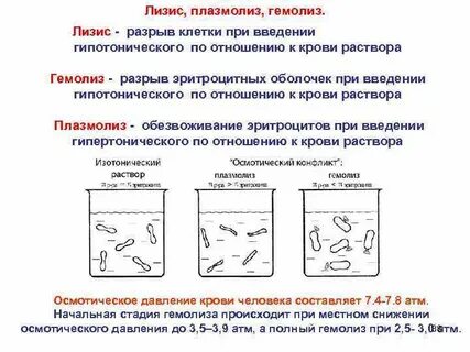Происходящие в растворах