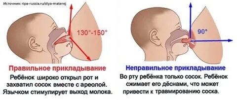 Можно давать соску при грудном вскармливании