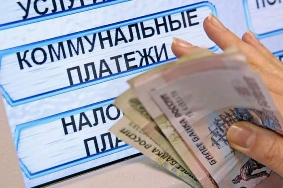 Не плачу за жкх что будет. Не плачу за жкх что будет