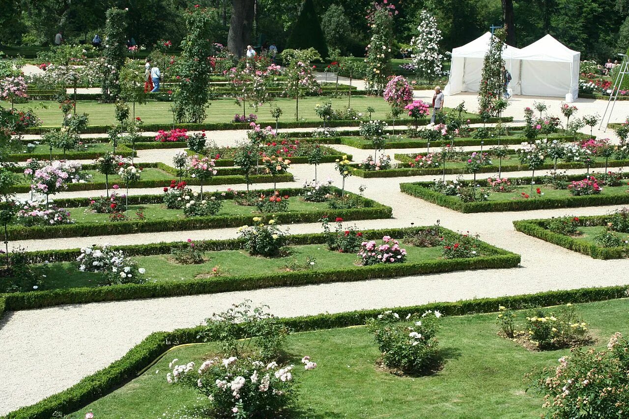 Розы в саду. Розарии клумбы. Моноцветник розарий. Розарий работа. Паклинский розарий.