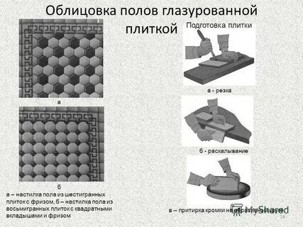 Что называется полом
