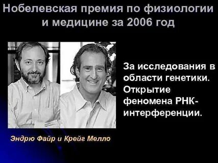Нобелевское открытие