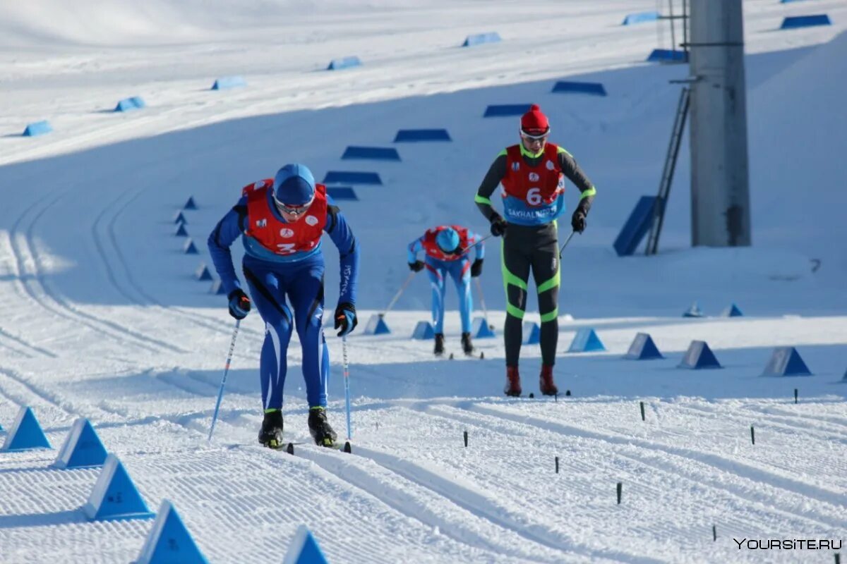 Лыжные гонки. Спорт лыжные гонки. Зимние виды спорта лыжные гонки. Лыжные гонки дистанции.