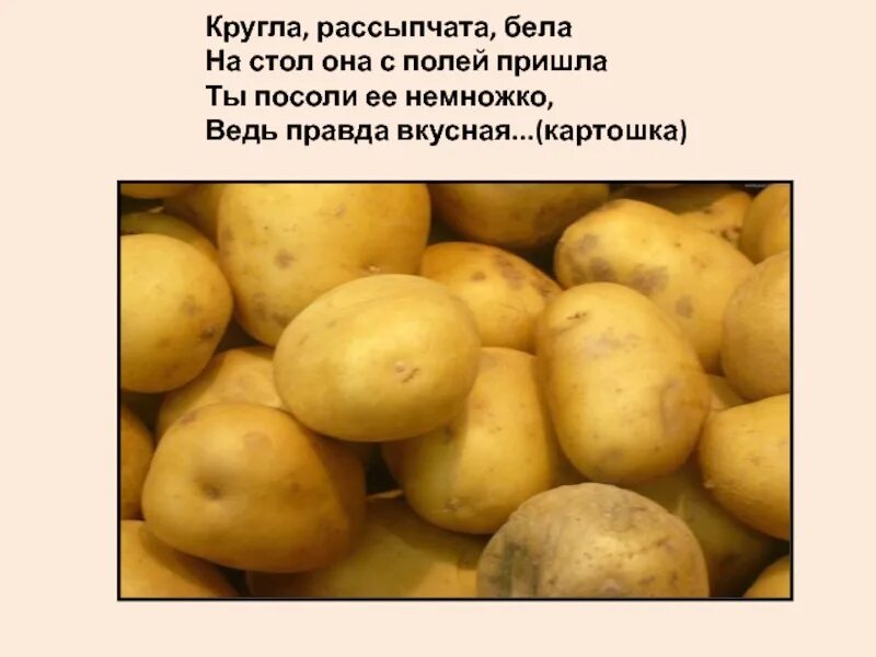 Разваристый картофель. Стих про картошку. Стих про картофель. Картошка это овощ или нет.