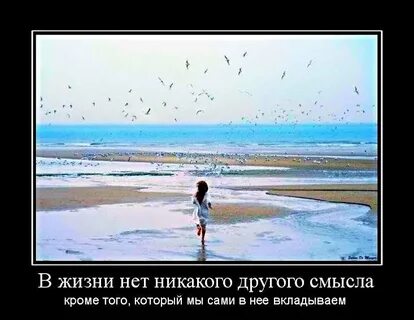 Никакого смысла текст