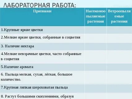 Признаки ветроопыляемых растений