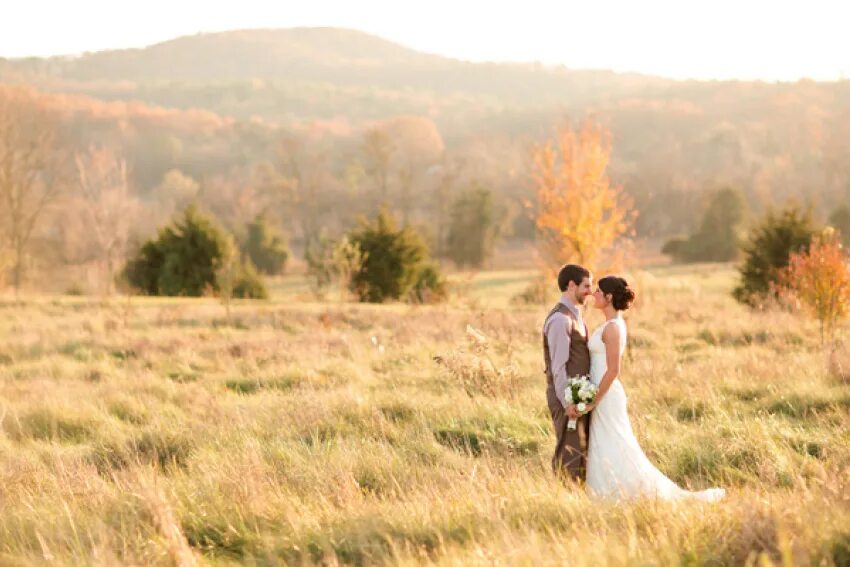 Свадьба в поле. Фотосессия свадьбы в поле. Свадьба в степи. Жених и невеста в поле. Брачное поле