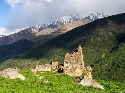 Roots северная осетия
