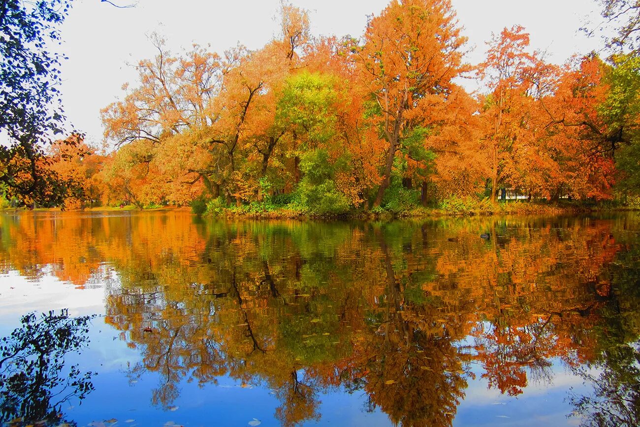осенью двухтысячного года. осенью двухтысячного года. осень в штате мейн. осенью двухтысячного года. встреча осени.