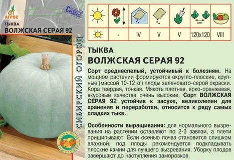 Тыква волжская серая