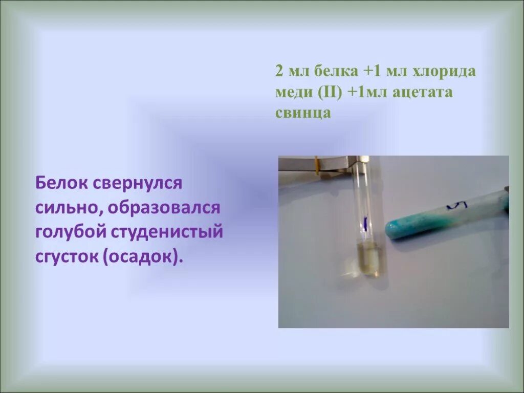 Студенистый осадок это. Студенистый осадок. Студенистый осадок меди. Ацетат свинца. Белок и Ацетат свинца.