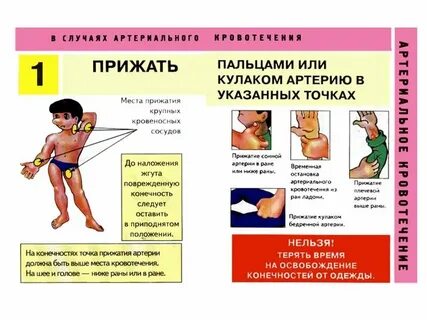 Понятие и определение первой помощи