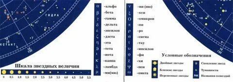 Какой меня видит звезда