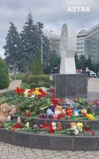 Краснодар зерноград