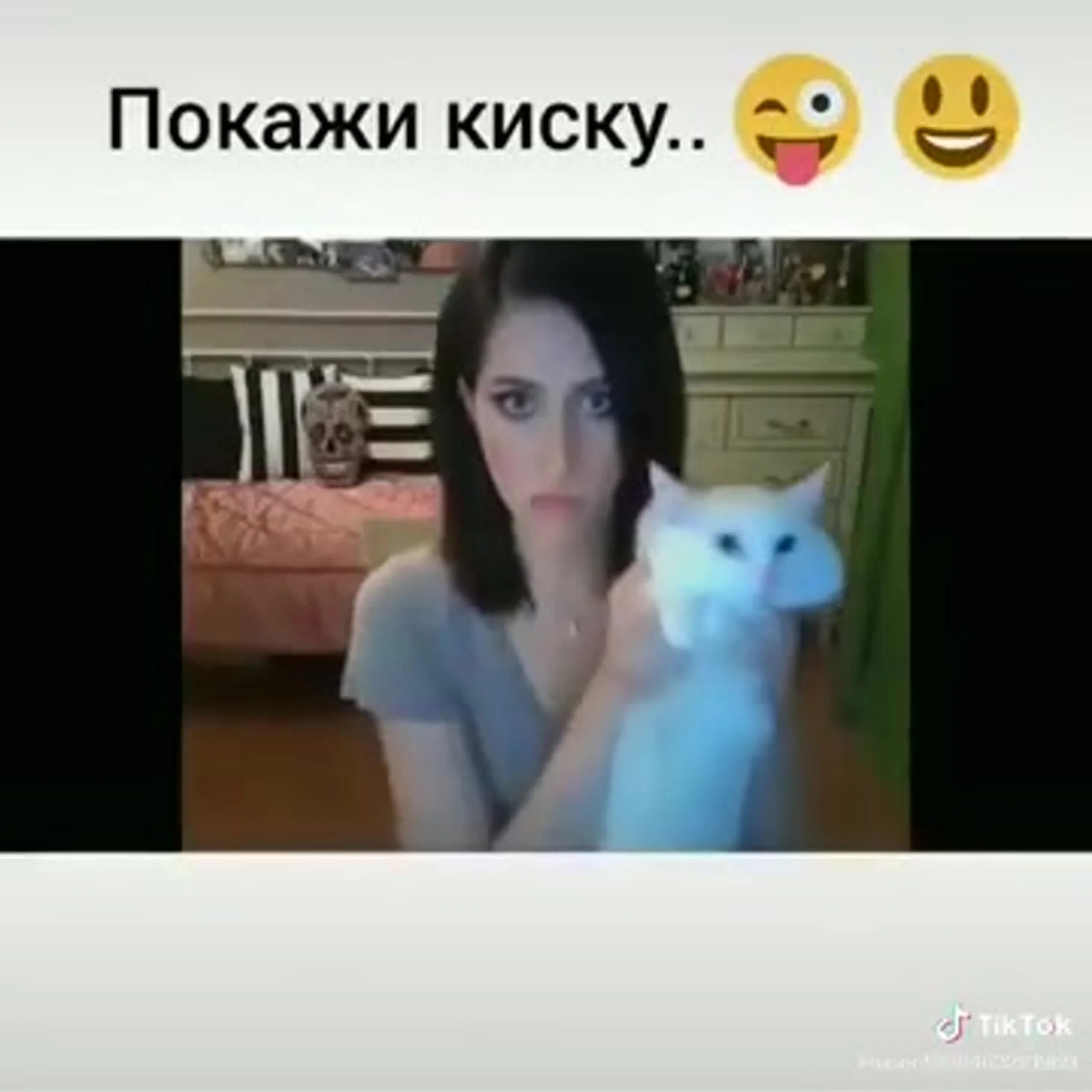 Хотите покажу киску. Покажи киску Мем. Киска прикол. Покажи киску девушки фото. Покажи свою киску прикол.