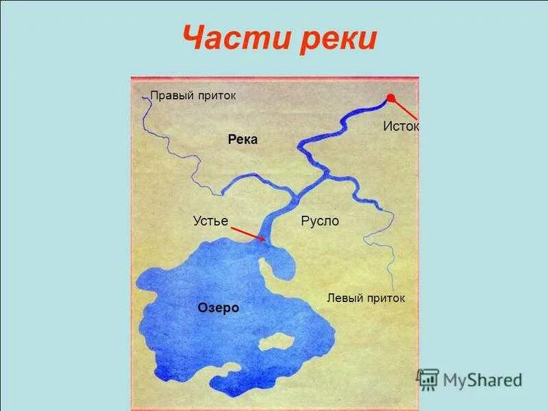Река миссисипи устье исток приток. Исток приток устье реки. река меконг истоки притоки.