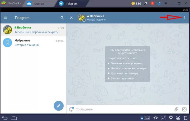 Скрин секретный чат. Секретные чаты в telegram. секретный чат в тетеграмм. телеграме секретный чат в телеграмме. облачные чаты в телеграмме.