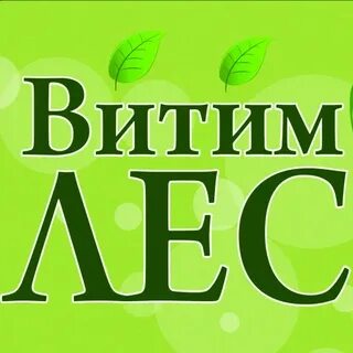 Витим лес