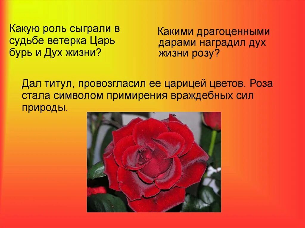 Символом чего является произведение. Описание цветка розы. Рассказ о чём говорят цветы.