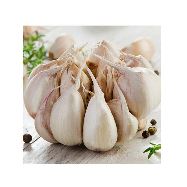 Knoflook kweken voor een mooie winter voorraad Planting garlic, When to harvest 