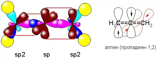 Строение молекул алкадиенов гибридизация. Электронное строение пропадиена 1,2. Строение молекулы алкадиена. Пропадиен 1 2 гибридизация.
